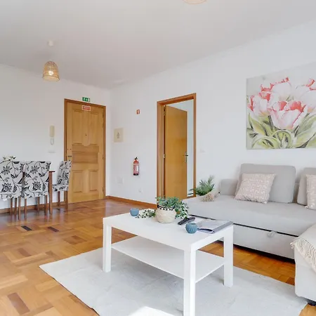 By Madeira Camara de Lobos